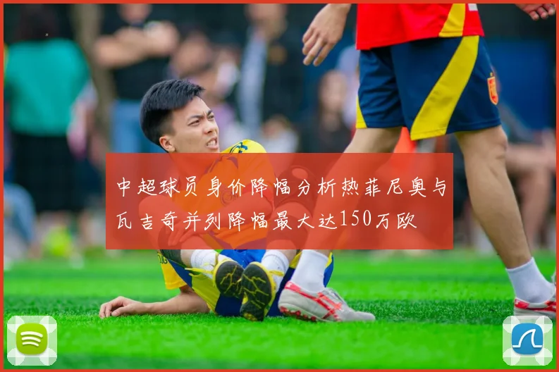 中超球员身价降幅分析热菲尼奥与瓦吉奇并列降幅最大达150万欧