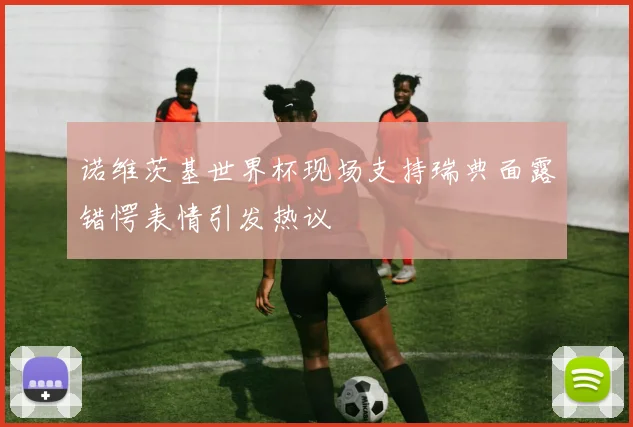 诺维茨基世界杯现场支持瑞典面露错愕表情引发热议